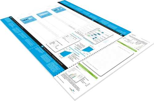 Board of CELEMI Performance™ business simulation