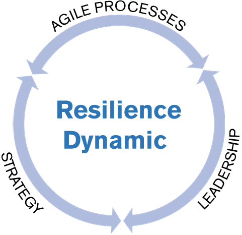 Resilient Dynamism model